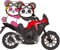 二輪について